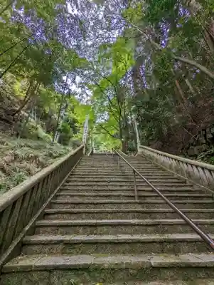 狸谷山不動院(京都府)