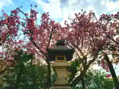 荘厳寺の建物その他