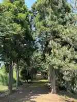 塚崎香取神社(茨城県)