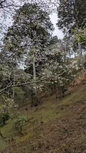 石山寺(滋賀県)