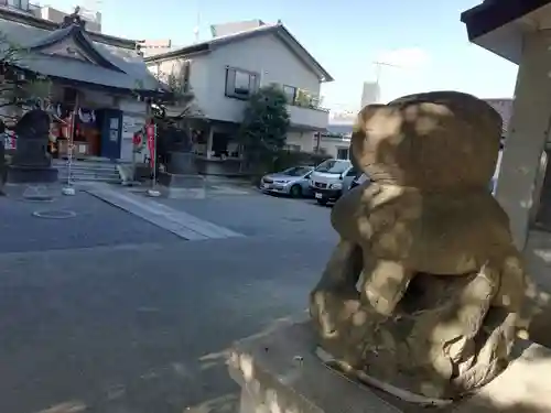 穏田神社の狛犬