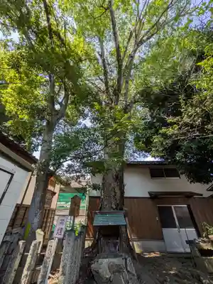 御霊神社(京都府)