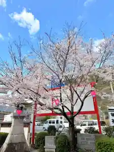 瀧宮神社(広島県) 2026年04月01日(水)〜(2026年04月02日(木) 03時56分37秒投稿)