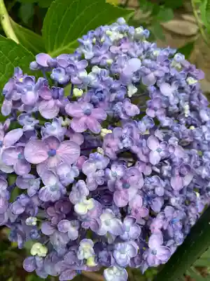 石都々古和気神社(福島県)