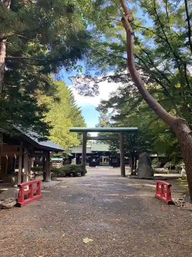 新琴似神社(北海道)