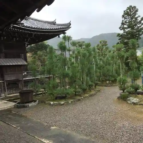 清凉寺の庭園