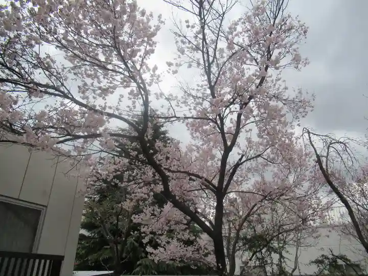 花園神社の自然