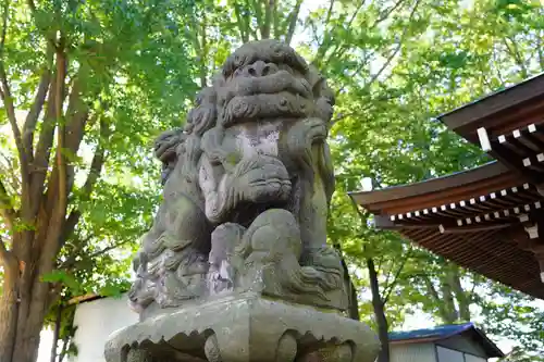 熊野福藏神社の狛犬