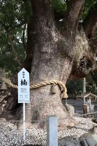 大麻比古神社(徳島県)