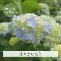 壽徳寺 じゅとくじ(福島県)