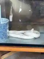 三宝神社(福岡県)