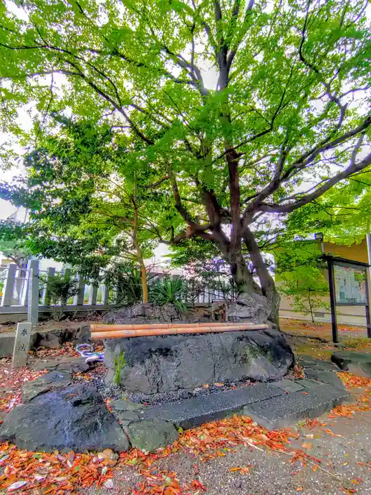 小木田神社の手水舎