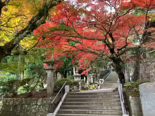 最乗寺（道了尊）(神奈川県)