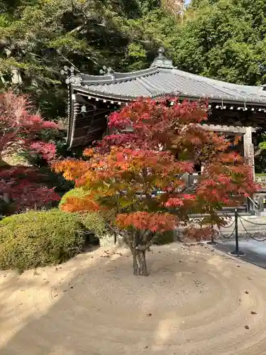 花山院菩提寺の自然