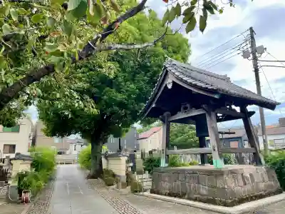 宗林寺(東京都)