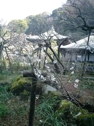 瑞泉寺の庭園