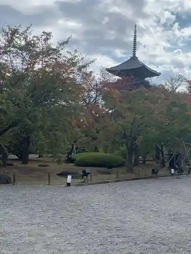 東寺（教王護国寺）(京都府)