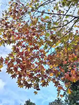 鹿島大神宮(福島県)