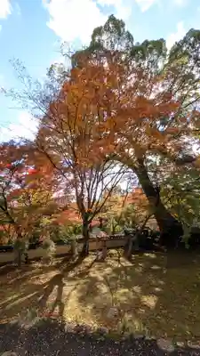 十輪寺(京都府)