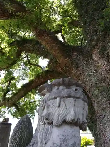 上代阿蘇神社(熊本県)