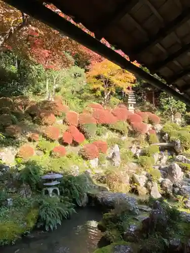 柳谷観音　楊谷寺(京都府)