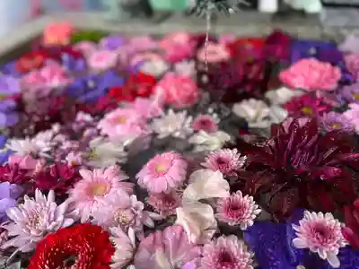 札幌諏訪神社の手水舎