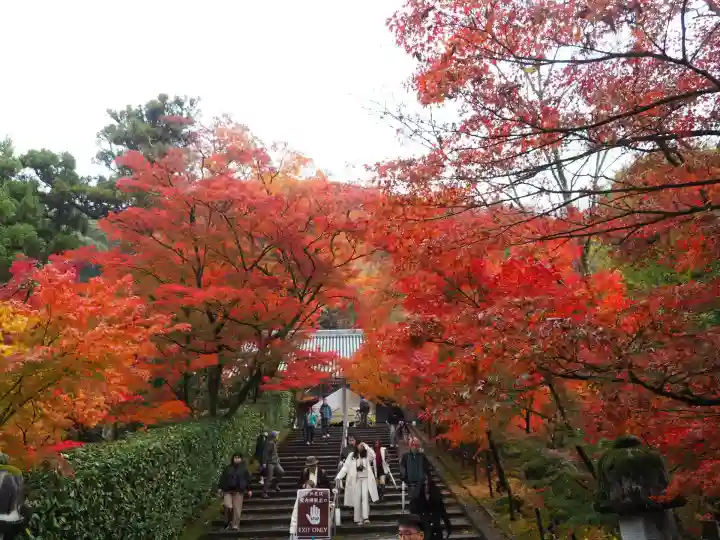 禅林寺(永観堂)(京都府)