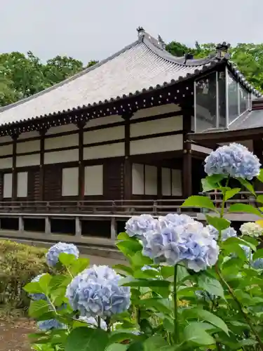 妙法寺(東京都)