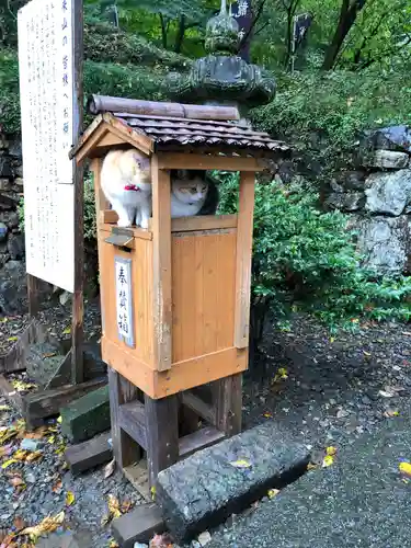 唐澤山神社の動物