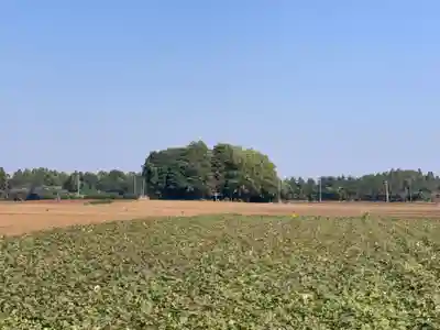 稲荷神社(千葉県)