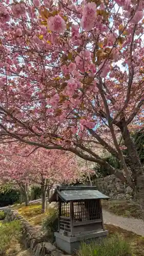 圓光寺(京都府)