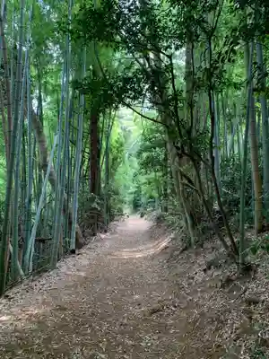 八幡神社(千葉県)