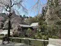 宝登山神社(埼玉県)