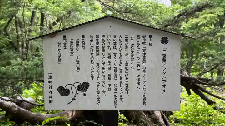 土津神社|こどもと出世の神さま(福島県)
