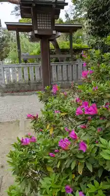 辛國神社(大阪府)
