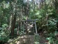 琴平神社の鳥居