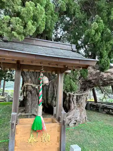 寶生院(香川県)