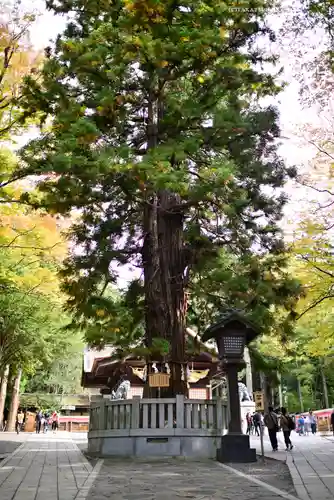 諏訪大社下社秋宮(長野県)