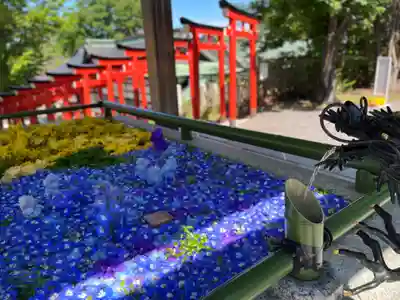 住吉神社の手水舎