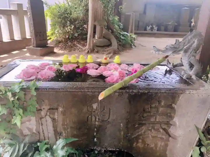 柏諏訪神社の手水舎