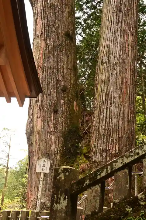 榛名神社(群馬県)