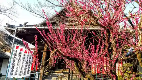 延命寺の庭園