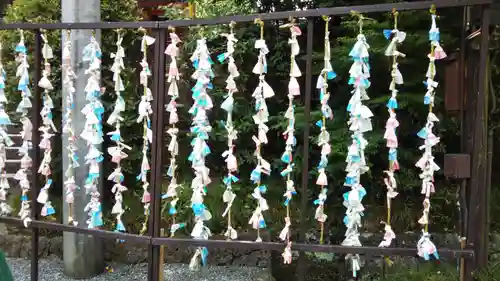 富士山本宮浅間大社のおみくじ