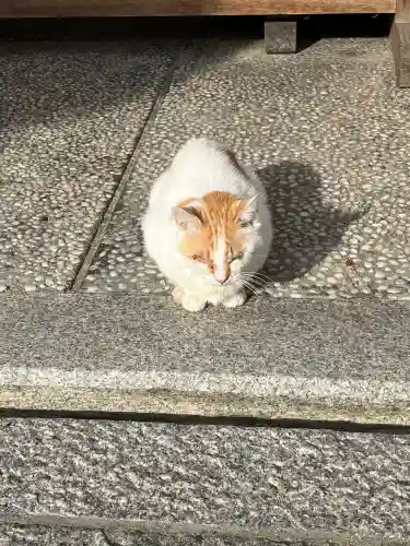 大江神社(大阪府)