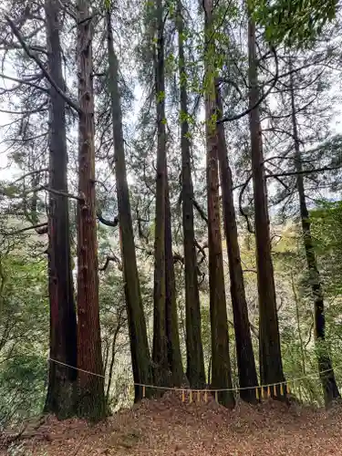 天岩戸神社(宮崎県)