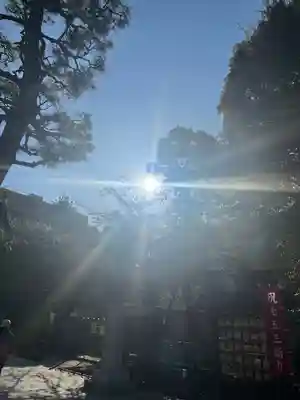 桜神宮(東京都)