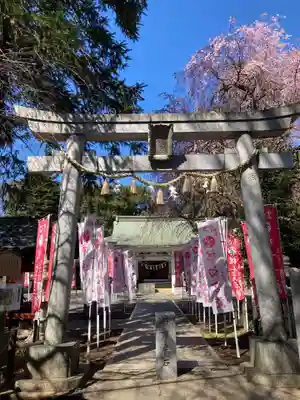 白岡八幡神社(埼玉県)