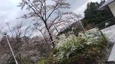出雲大社 与謝分祠(京都府)