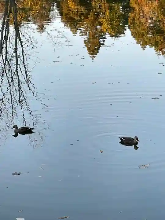 大神神社の{uncategorized: "未分類", other: "その他", undefined: "問題あり", building: "その他建物", grave: "お墓", sacred_gate: "鳥居", guardian: "狛犬", statue: "像", buddha: "仏像", history: "歴史", nature: "自然", garden: "庭園", animal: "動物", pagoda: "塔", temizu: "手水舎", mountain_gate: "山門・神門", sanctuary: "本殿・本堂", subordinate: "末社・摂社", art: "芸術", scenery: "景色", jizo: "地蔵", ema: "絵馬", goshuin: "御朱印", omikuji: "おみくじ", items: "授与品その他", amulet: "お守り", goshuincho: "御朱印帳", eats: "食事", festival: "お祭り", votive_dance: "神楽", shichigosan: "七五三参", wedding: "結婚式", experience: "体験その他", initially: "初詣", around: "周辺", anti_infection: "感染症対策"}