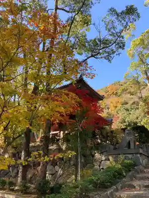 徳光院の塔